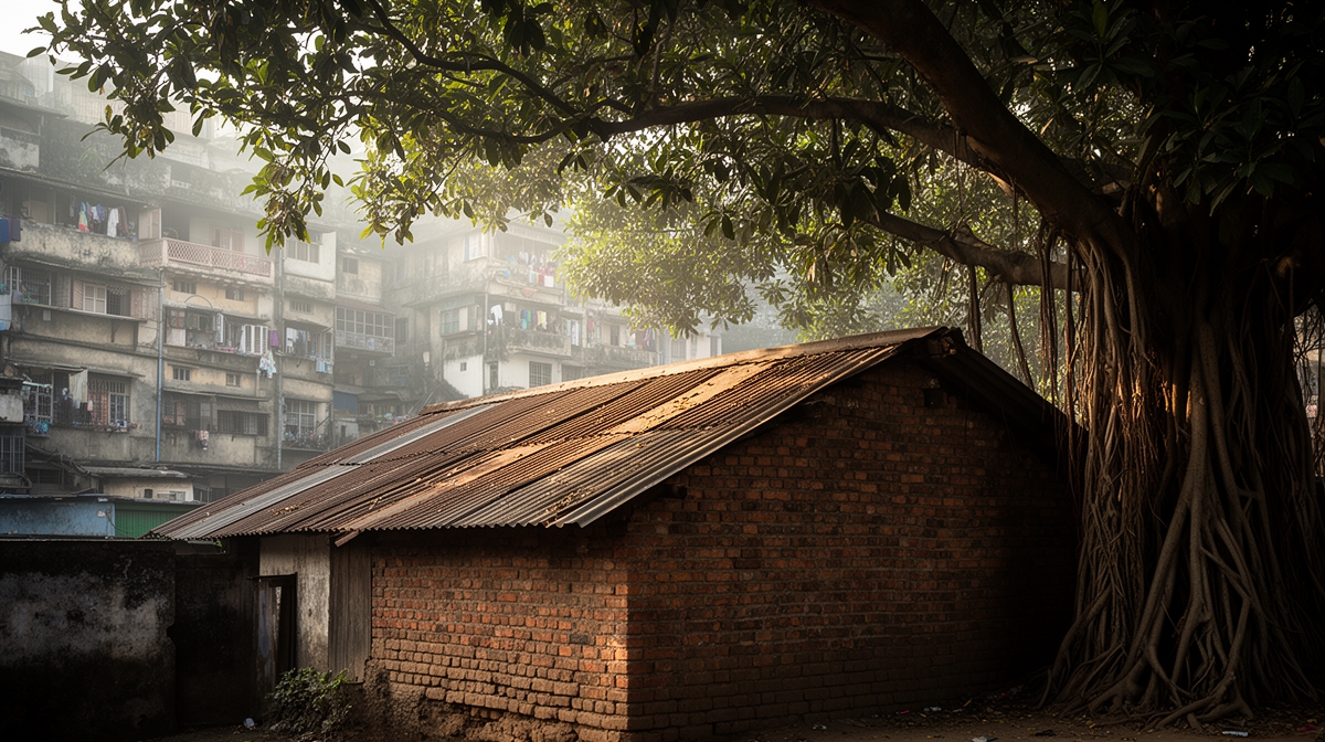 Statutory Delay Cannot Validate Unauthorized Construction | Section 351(1A) Mumbai Municipal Corporation Act : Bombay High Court